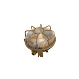 Pasha marine outdoor light IP64 | raw brass