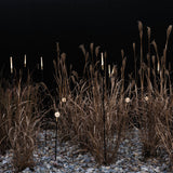 Linfa 80 | black and brass