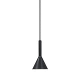 Kelvis 2 pendant | black
