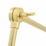 Dale adjustable picture light | polished brass