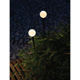 Linfa O 80 | black and green