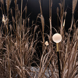 Linfa O 80 | black and green