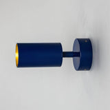 Evanston directional spotlight | sapphire blue