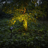 Sau M 156 ø7 IP65 | black