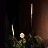 Linfa 80 | black and brass