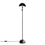 Stingray floor lamp | bronze