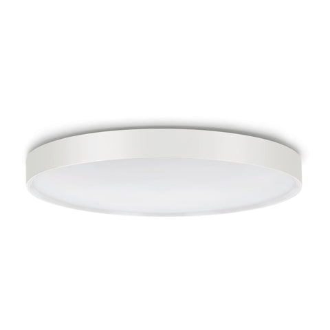 Ola 500 round IP66 | white