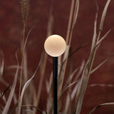 Linfa O 80 | black and green