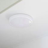 Looped wall/ceiling lamp ø35 | white IP44