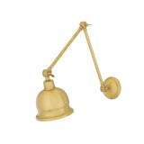 Dale adjustable picture light | polished brass