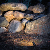 Skip outdoor spike IP65 | textured grey