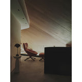 Shot Light trim S ⌀6 | white and metallized gold