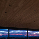 Shot Light trimless XS ⌀3 IP54 | black