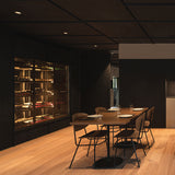 Shot Light trimless XS ⌀3 IP54 | black