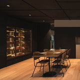 Shot Light trim XS ⌀4 | black