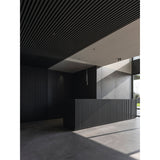 Shot Light trimless XS ⌀3 IP54 | black