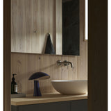 Rumee 220 portable | night blue