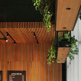 Shot Light trim XS ⌀4 | black