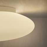 Smarties ceiling ⌀33-⌀60 | white
