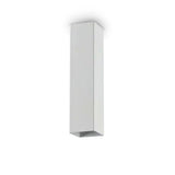 Look ceiling ø6 H10-20 | brass