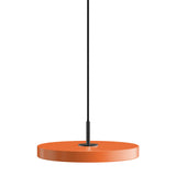Asteria mini 31 | anthracite grey