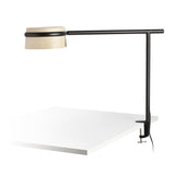 Loop table lamp | cherry wood