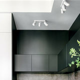 Dynamite ceiling 3 | white