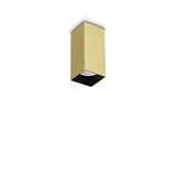 Look ceiling ø6 H10-20 | brass