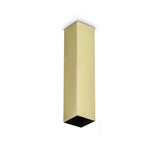 Look ceiling ø6 H10-20 | brass
