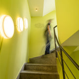 Looped wall/ceiling lamp ø35 | white IP44