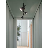 Kelvis 3 ceiling | black