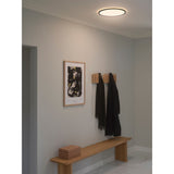 Oja 42 | black / 2CCT