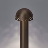 Mushu 300 | brown bronze