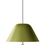 Levitate pendant ⌀28-40 | sage green and brass