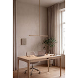 Omni ceiling lamp | plated brass