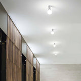 Petit | brass - Normo