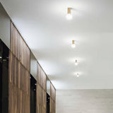 Petit | brass - Normo