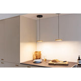 Asteria micro 15 | petrol blue - Normo